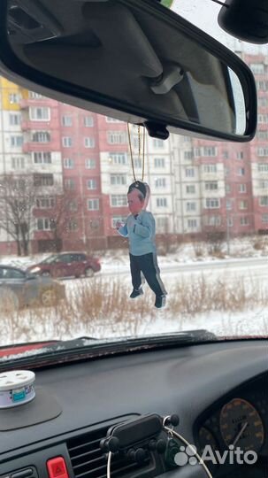 Подвеска в машину Хасбик