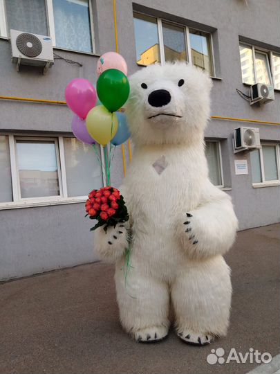 Аниматоры.Панда.Белый Мишка. Чебурашка