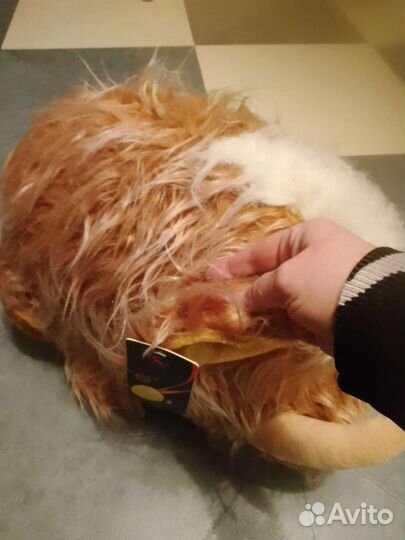 Большой зверь