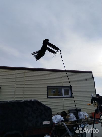 Флюгер,крик