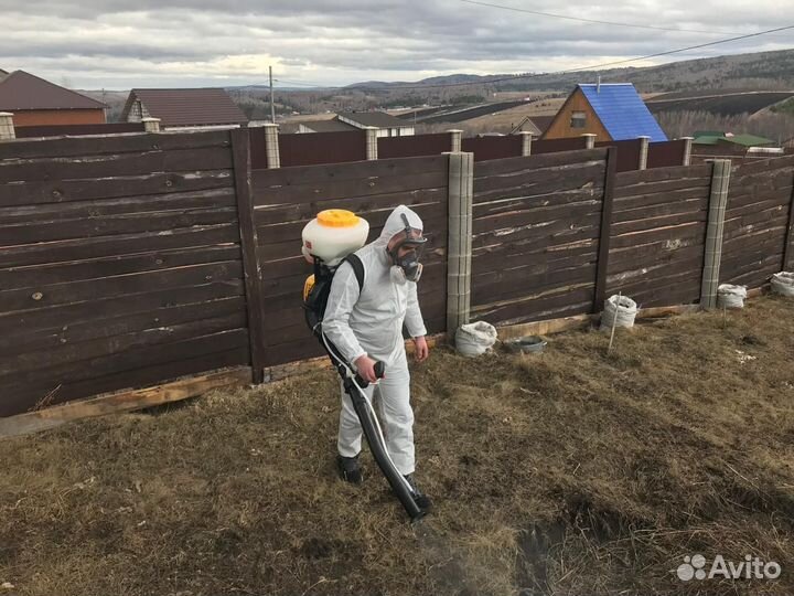 Уничтожение тараканов, клопов, блох. Дезинфекция