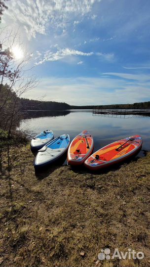 Народный прокат аренда сапборд закаты лахта оредеж