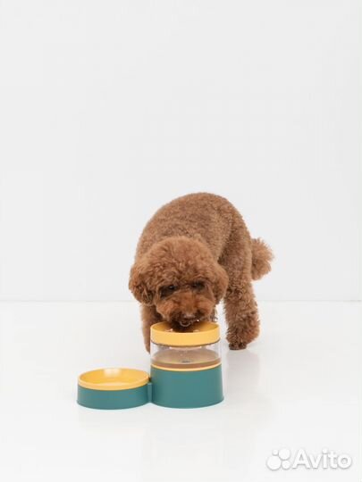 Миски для кошек, животных, собак с доставкой