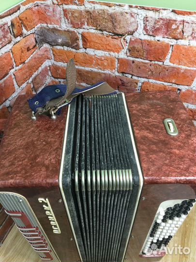 Баян огонек 2