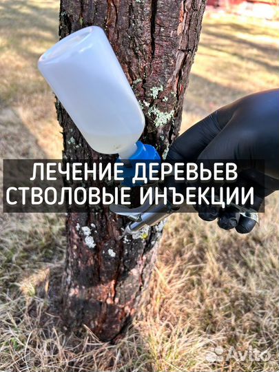 Обработка участка от клещей, комаров, короеда, ос