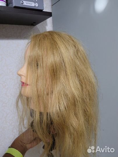 Учебная голова с натуральными волосами