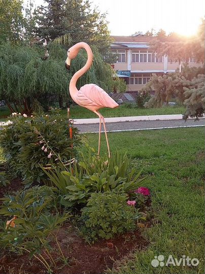 Фламинго Ростовой