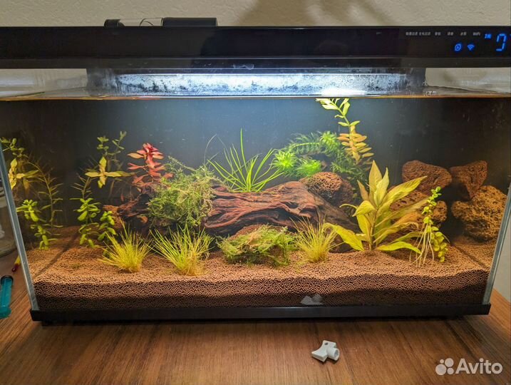 Для аквариума