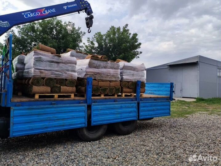 Рулонный газон с доставкой