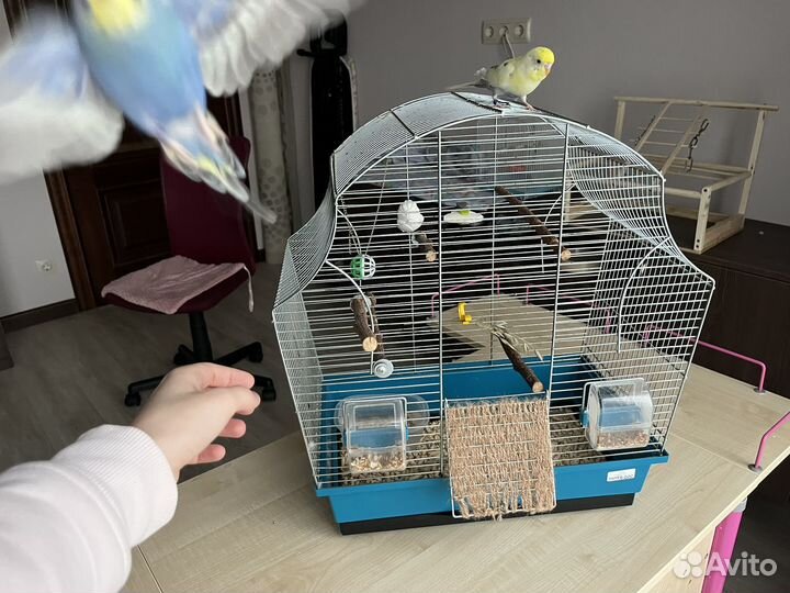 Клетка для попугая