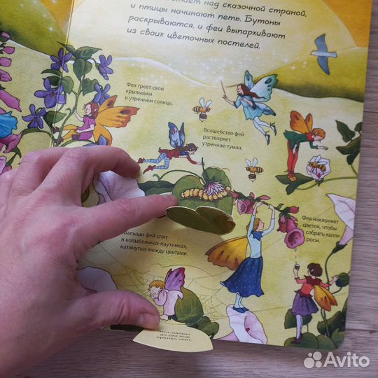 Детские книги с окошками