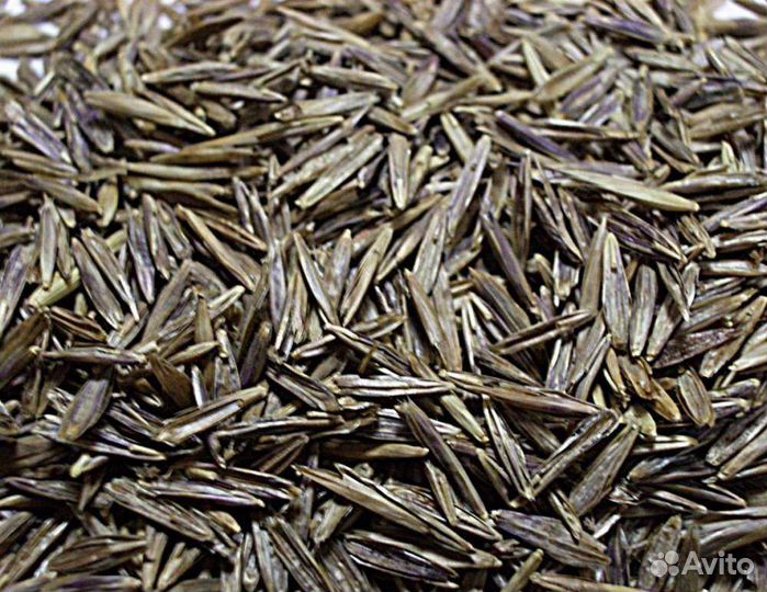 Семена кострец