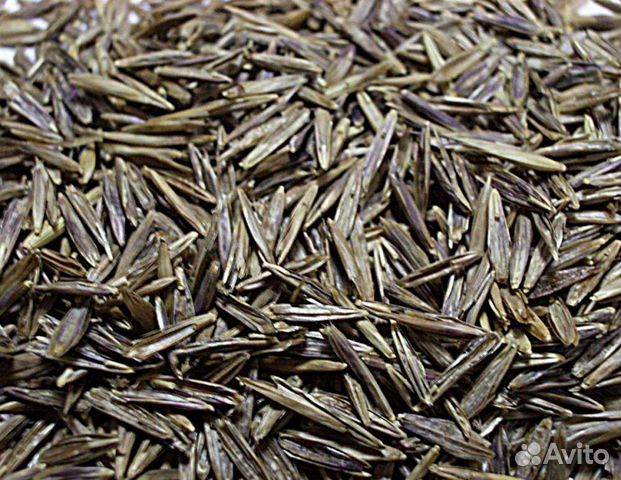 Семена кострец