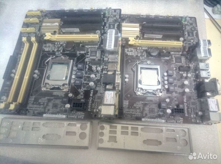 Asus Q87M-E + i5-4570