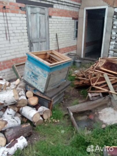 Пчелиные улья