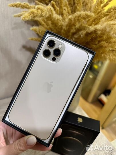 iPhone 12 pro 256