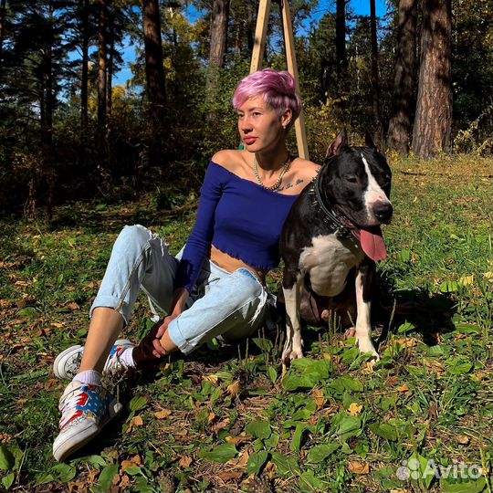 Кинолог. Тренер собак