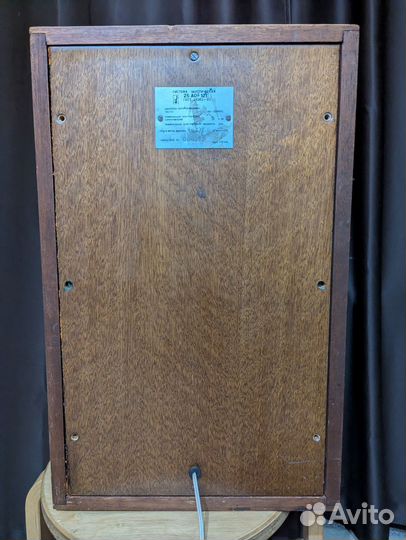 2шт Акустическая система 51 ао ас-121