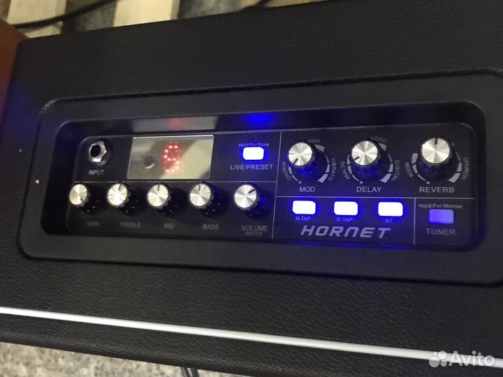 Mooer Hornet DH-01 комбоусилитель с процессором