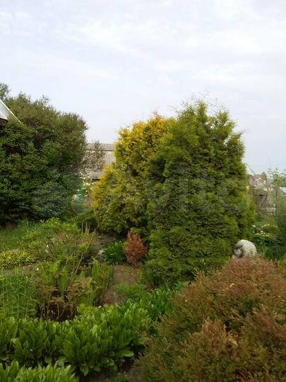 Участок 10 сот. (СНТ, ДНП)