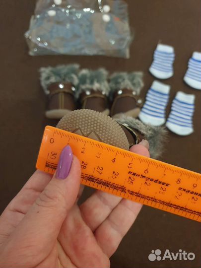 Одежда для собак мелких пород