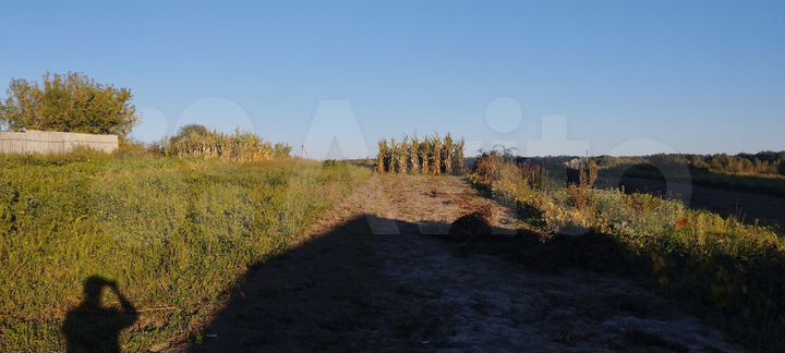 Участок 25 сот. (ИЖС)