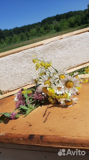 Каштановый, акация, разнотравие опт, розница