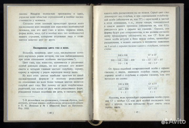 Филипченко Ю. А. Евгеника. 1924 год