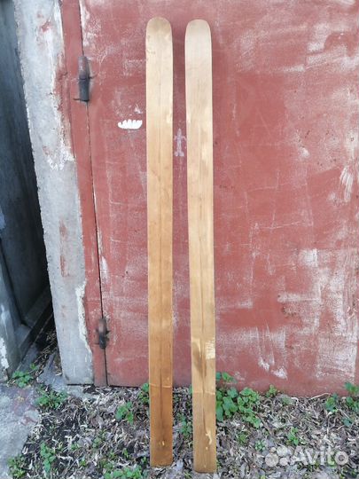 Лыжи Вологда Лесные