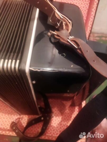 Баян рубин 5