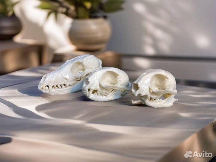 3D 3Д Печать из пластика - 3Д 3D Моделирование