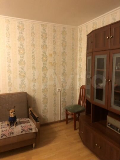 1-к. квартира, 32,1 м², 3/5 эт.