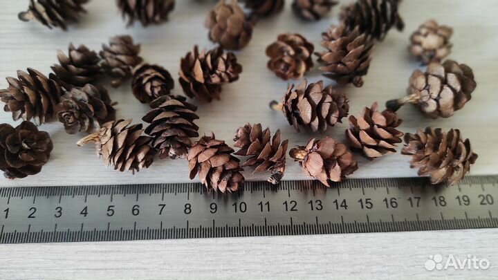 Шишки маленькие лиственница для рукоделия иподелок