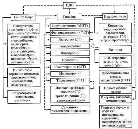 Репетитор по химии и биологии