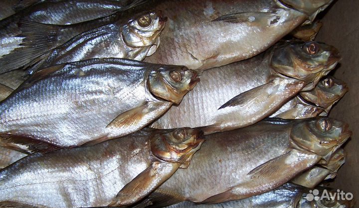 Лещ вяленый