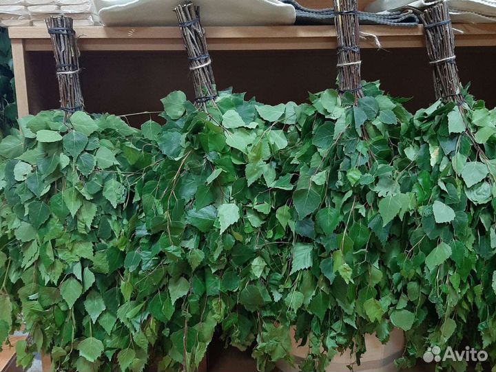 Веники для бани березовые