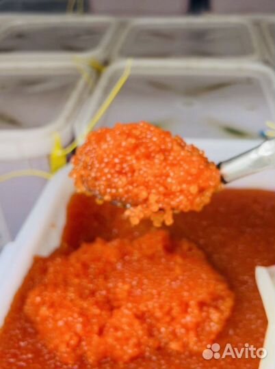 Красная икра