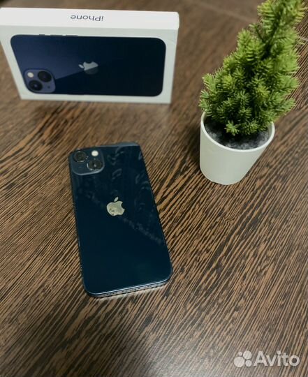 iPhone 13