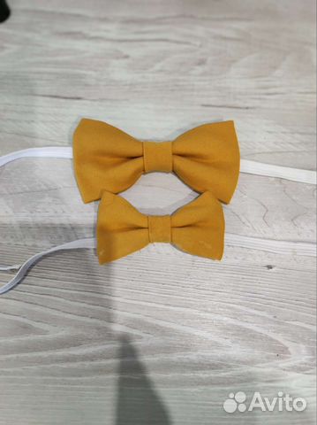 Бабочки папа + сынок