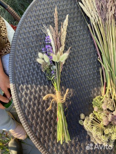 Цветы сухоцветы