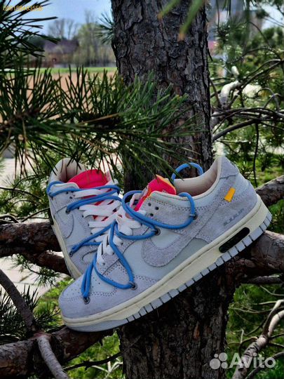Удобные кроссовки Nike Dunk Off White для мужчин