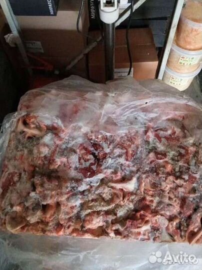 Мясо для собак