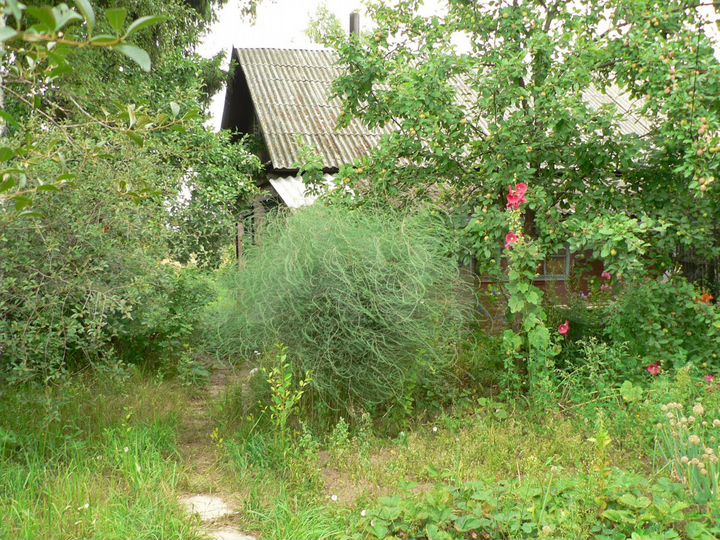 Участок 15 сот. (ИЖС)