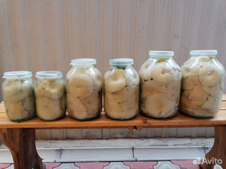 Грибы солёные:грузди,рыжики и варенье из шишек