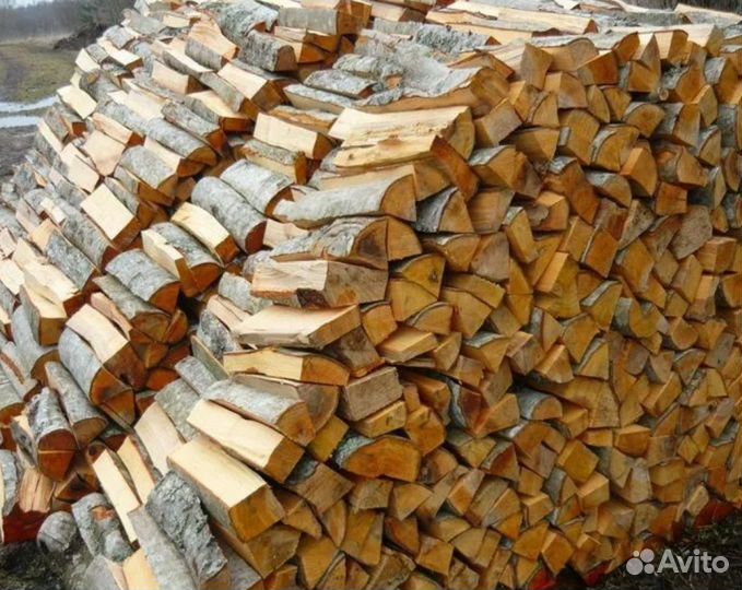 Дрова осина