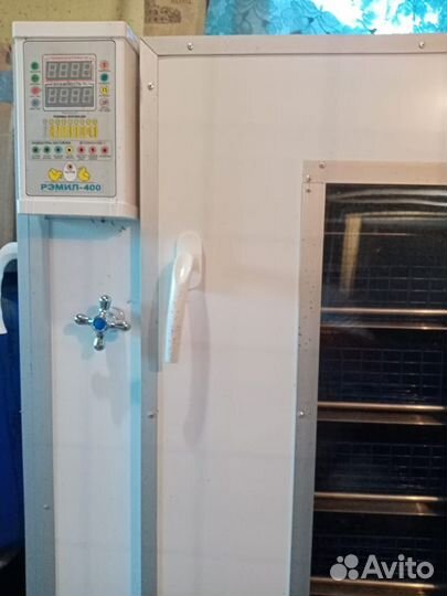 Инкубатор для яиц автоматический бу