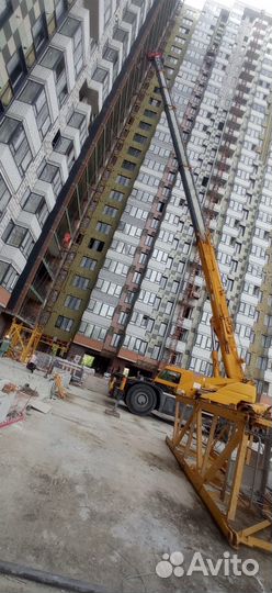 Аренда и услуги автокрана-вездехода, 51 т, 42 м, с гуськом 14 м