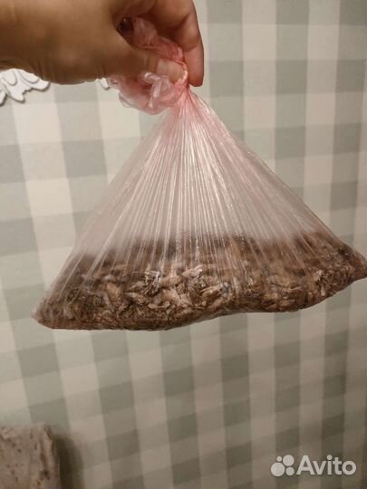 Замороженные сверчки кормовые