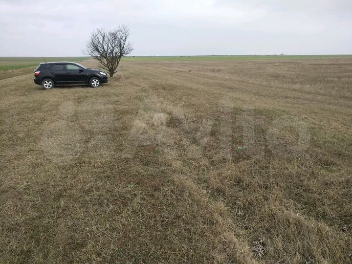 Участок 3,5 га (СНТ, ДНП)