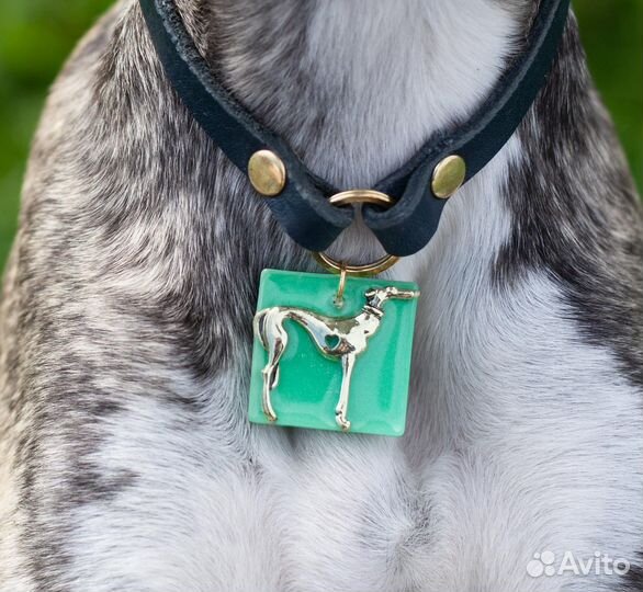 Адресники для собак (уиппет, левретка)